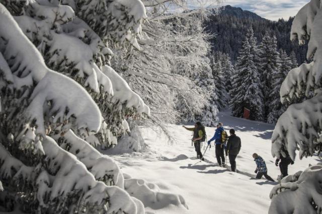 Le Flocon-Studio Cabine-Balcon 4-6 Pers A 100M Des Pistes Chamrousse Kültér fotó