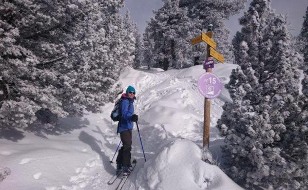 Le Flocon-Studio Cabine-Balcon 4-6 Pers A 100M Des Pistes Chamrousse Kültér fotó