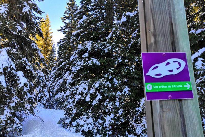Le Flocon-Studio Cabine-Balcon 4-6 Pers A 100M Des Pistes Chamrousse Kültér fotó